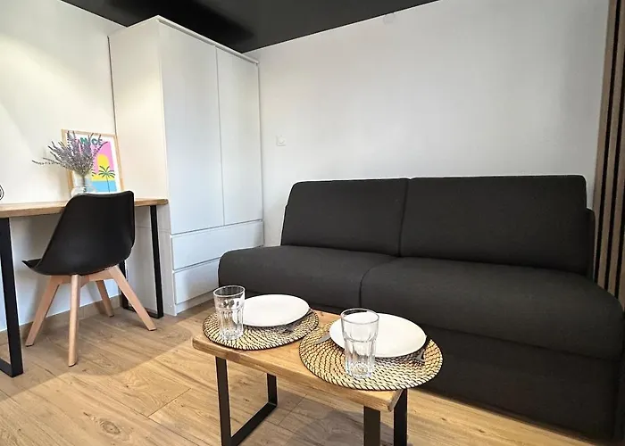 Apartment En Plein Coeur De Nice